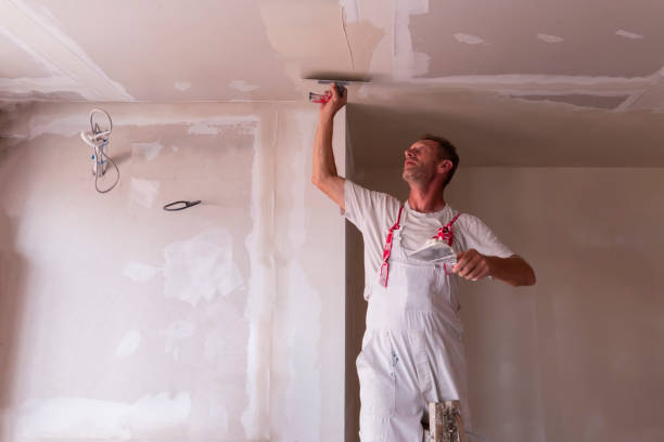 Best Drywall for Remodeling  in USA